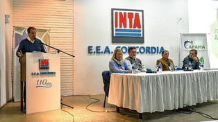 Bordet: Trabajamos para resolver las necesidades del sector productivo