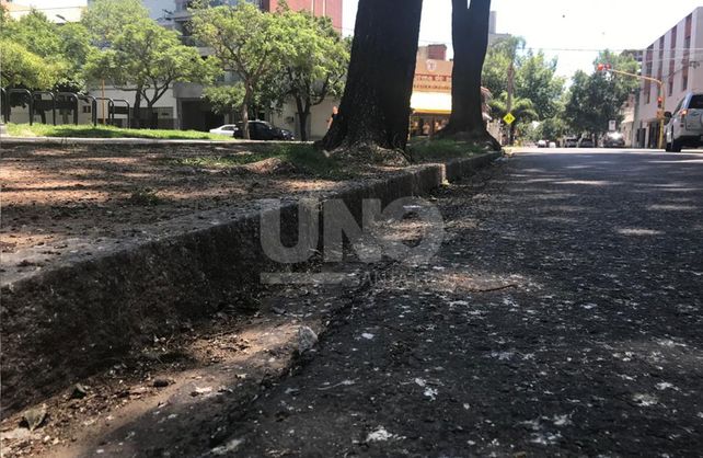 Calle 4 de enero