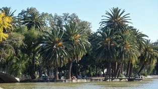 Postal de la ciudad. El Laguito sufre las consecuencias del vandalismo, al igual que el resto del Parque.