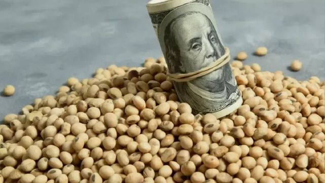 El productor no depositó dólares en el sistema
