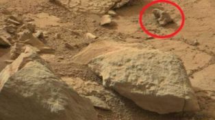 Polémica por fotos de la Nasa en las que, aseguran, aparece una iguana fosilizada en Marte