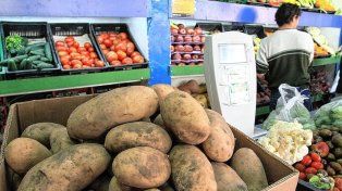 Hoy las verduras se consiguen a buenos precios.