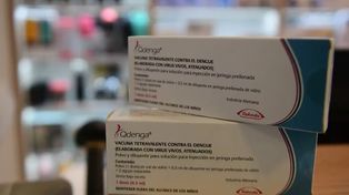 Dengue: este lunes