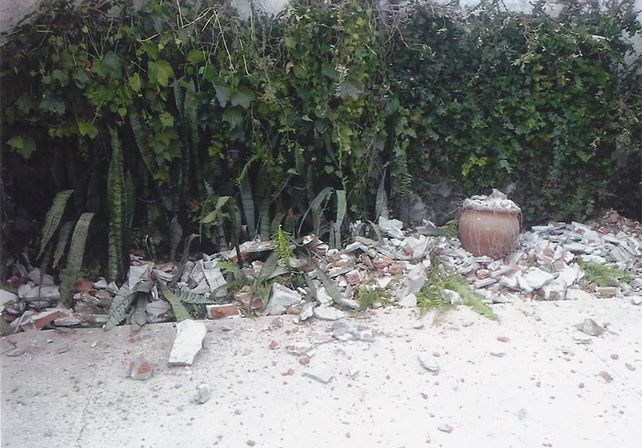 Daños en la propiedad de los vecinos.&nbsp;
