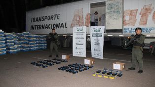 La fruta prohibida: secuestraron 56 kilos de cocaína en un camión con bananas que iba al Mercado Central de Buenos Aires