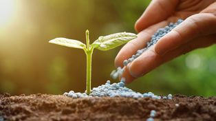 ARCA incorpora permisos de fertilizantes a la VUCEA y busca agilizar importaciones clave para el agro
