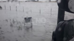 Así está la Ruta Nacional 11 por el fuerte temporal en la región
