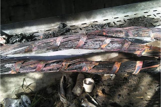 La línea eléctrica dañada.