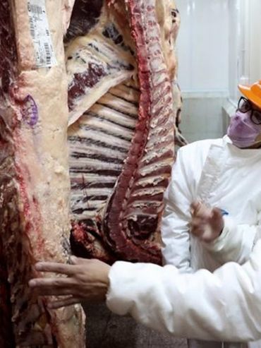 Indonesia habilitó el ingreso de carne bovina argentina y reabrió su mercado para los lácteos