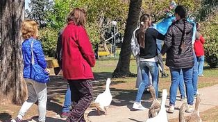 La mañana. Del domingo invitó a celebrar a la Virgen con una procesión que partió desde la ermita ubicada en el predio del Parque Gazzano.