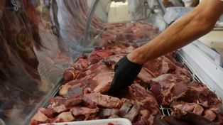 Carne: cambios en el consumo alteran la dinámica de ajuste de precios