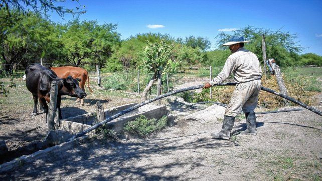Esta asistencia es para pequeños productores hortícolas