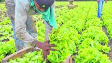 La producción agroecológica permite superar los conflictos en la zona fronteriza entre lo urbano y lo rural, La producción agroecológica permite superar los conflictos en la zona fronteriza entre lo urbano y lo rural,