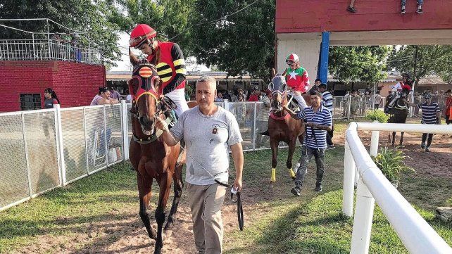 Por la situación sanitaria y recomendación del Senasa