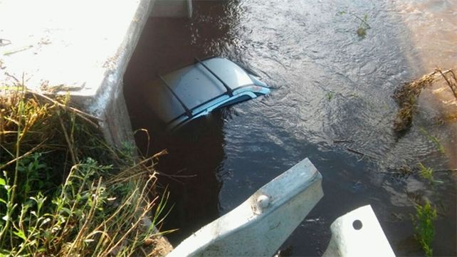 Intentó esquivar un carpincho y cayó al vacío desde un puente