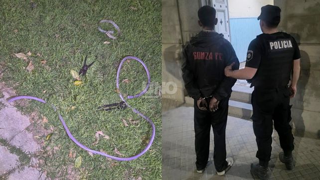 El ladrón detenido