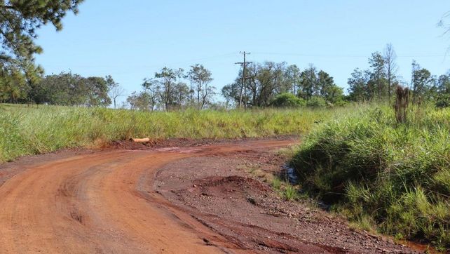 La potencialidad de Corrientes como productora de granos en primera persona