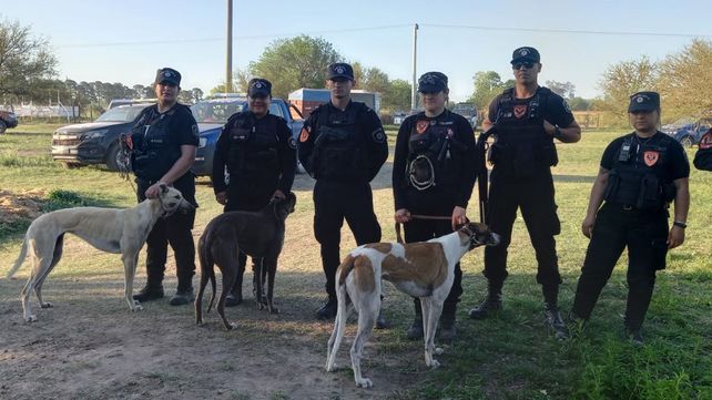 Carreras ilegales de galgos: rescataron 61 perros y demoraron a 145 personas