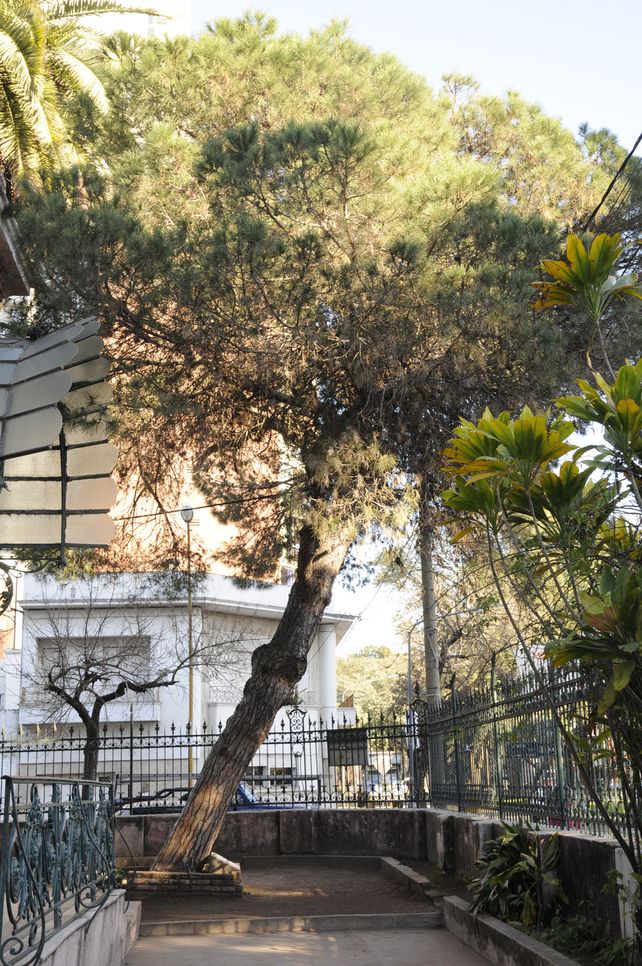 Buscan que la historia de San Martín se mantenga viva en la ciudad