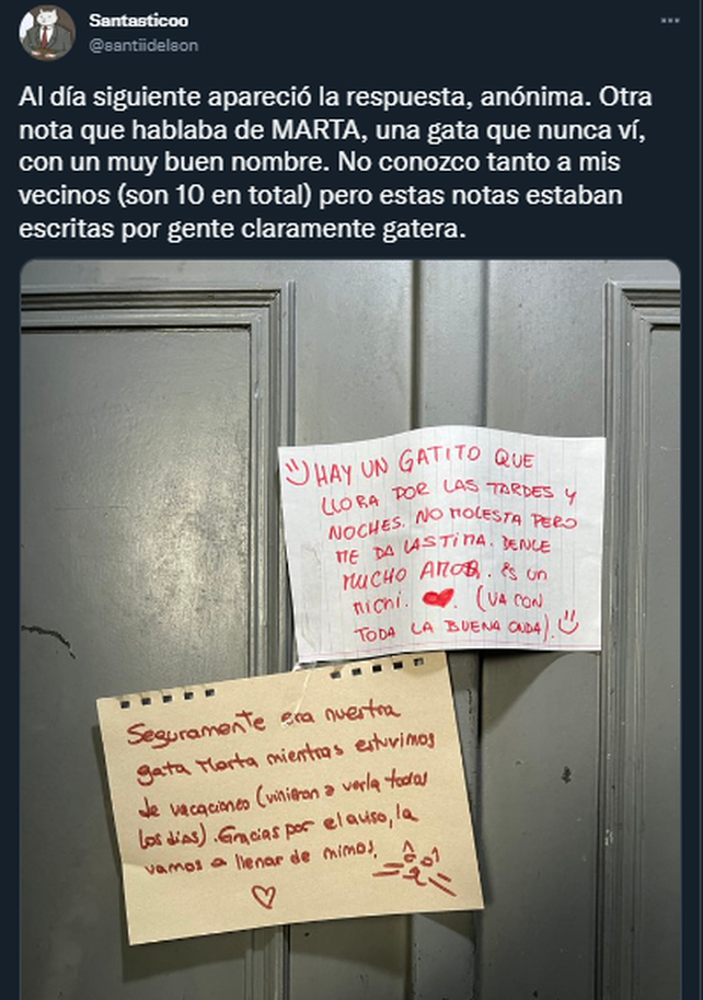 La saga de Marta, la historia que se hizo viral sobre los gatos de un edificio de Palermo
