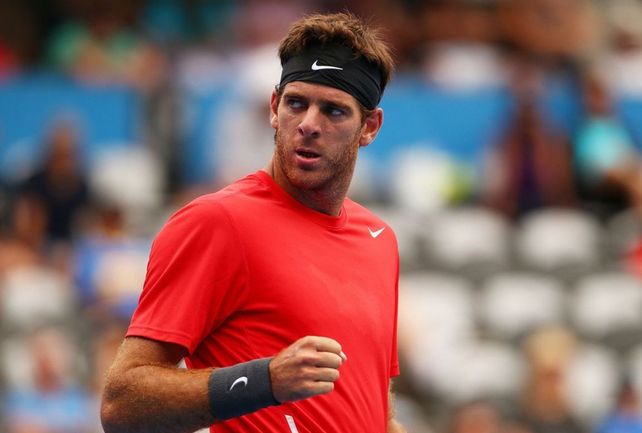 Del Potro debutó con un triunfo en el ATP de Washington y en octavos enfrentará a Nishikori