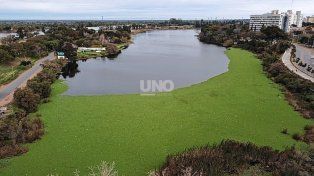 Suciedad en el lago del Parque Sur: pondrán cinco bombas de filtrado para oxigenar y limpiar el agua