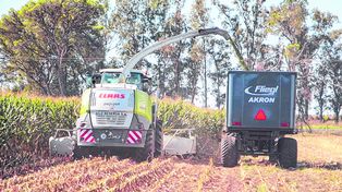 A toda máquina. Las altas reservas hídricas anticipan un buen ciclo.