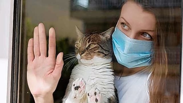 Investigación nacional: en Santa Fe buscan animales para testear por coronavirus