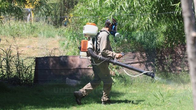 Dengue en La Paz: Desde Epidemiología de la Provincia indican que el caso aún no se confirmó