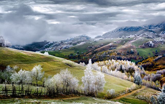 “Romania