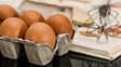 Cinco alimentos con más proteína que los huevos
