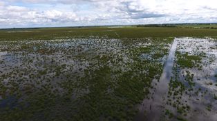 Nación convocó a Santa Fe para la reunión de la Comisión de Emergencia Agropecuaria
