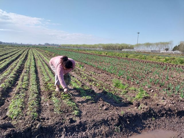 La agroecología le pone el pecho a la sequía en las huertas y quintas de Rosario
