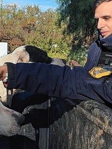 En Concordia secuestraron 19 animales por maltrato