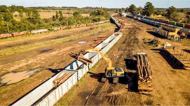 La Línea Urquiza de trenes atraviesa Entre Ríos sumando cargas.&nbsp;