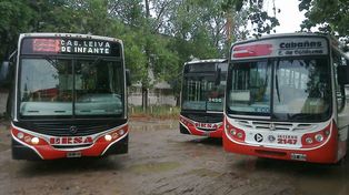 La línea 3 presenta su nueva flota