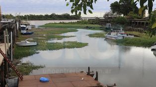 El río Paraná bajó 27 centímetros en menos de una semana