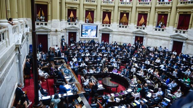 La Cámara de Diputados aprobó la ley ómnibus en general y continuará el debate artículo por artículo el próximo martes. 
