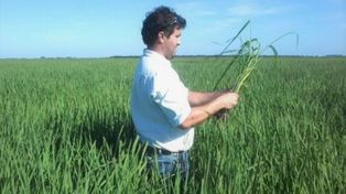 Mozeris señaló una caída muy fuerte de cantidad de productores y una concentración muy grande de la producción.&nbsp;