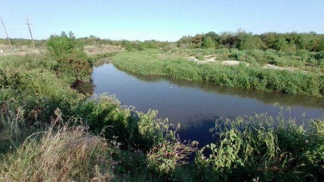 Aparecieron peces muertos en un área natural protegida