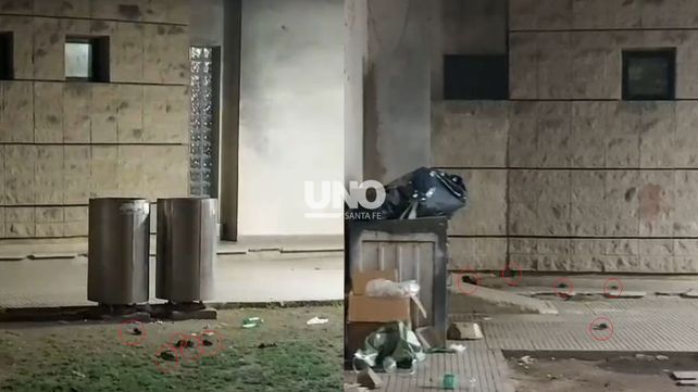 Ratas a metros de una escuela y en plena peatonal producto de un contenedor de basura