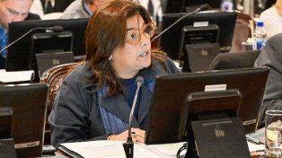 La diputada María Ávila impulsa una Ley que declara la Emergencia en Discapacidad en Entre Ríos.&nbsp;