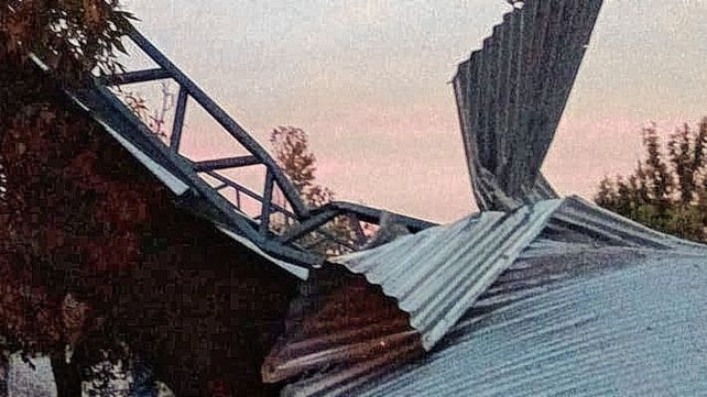El fuerte temporal en la ciudad tumbó árboles y arrancó techos