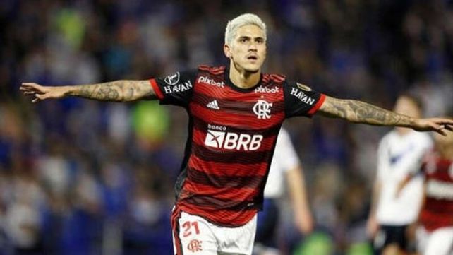 Pedro consiguió la última Copa&nbsp; Libertadores