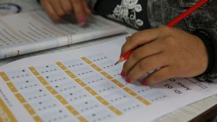 Alumnos santafesinos mejoraron hasta 9% el resultado de las pruebas Aprender