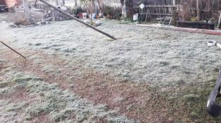 Heladas. La semana iniciará muy fría, con bajas temperaturas, según anuncia el SMN.