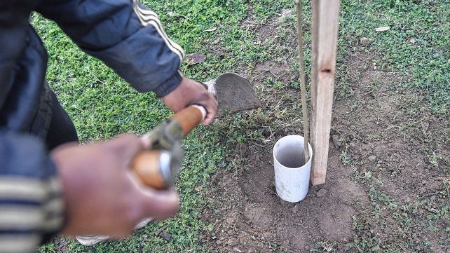 Trabajos de bacheo, iluminación y arbolado previstos para este lunes