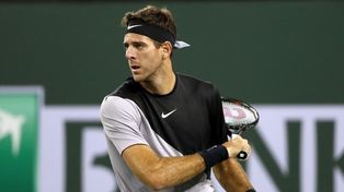 Del Potro y Mayer quieren meterse en los octavos de final