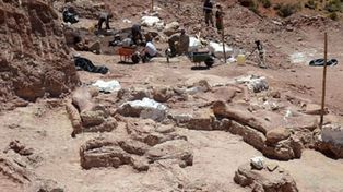 Un circuito turístico con restos fósiles en Chubut