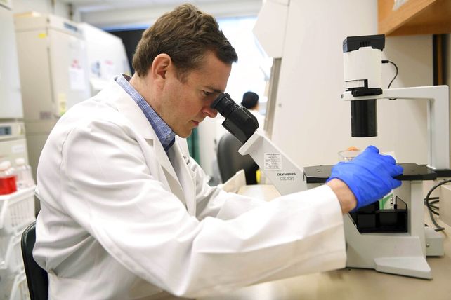 La detección del cáncer a partir de un análisis de sangre sería un próximo hito científico